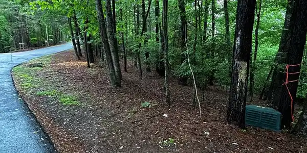 Lazy River Lane