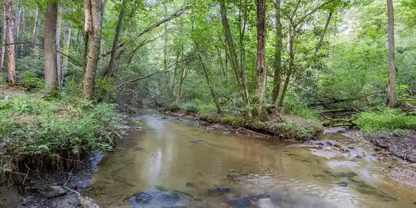 23.59 AC Chestnut Flats Road