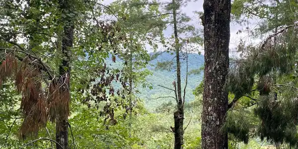 Lot 55 Laurel Trail