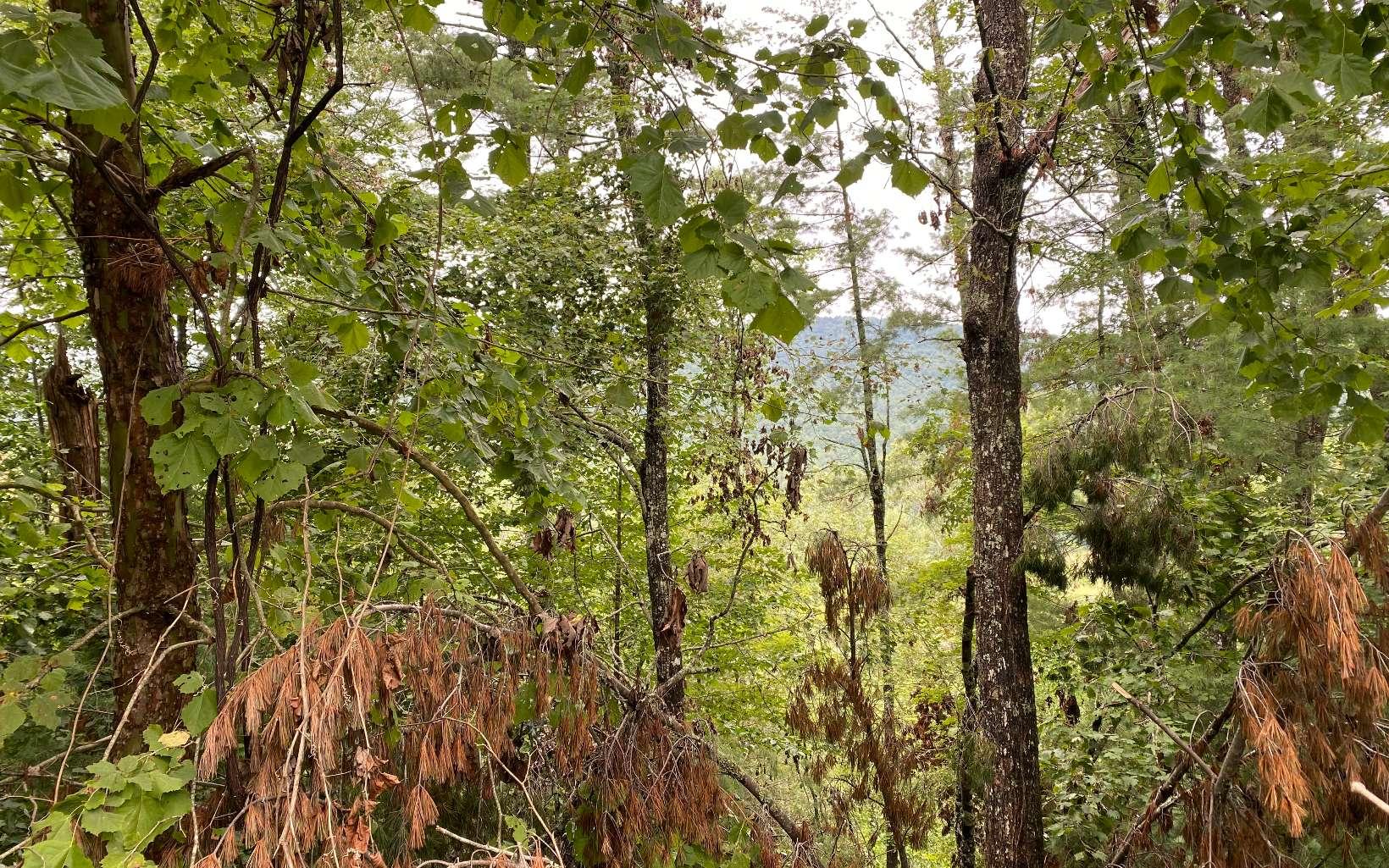 Image 3: Additional View