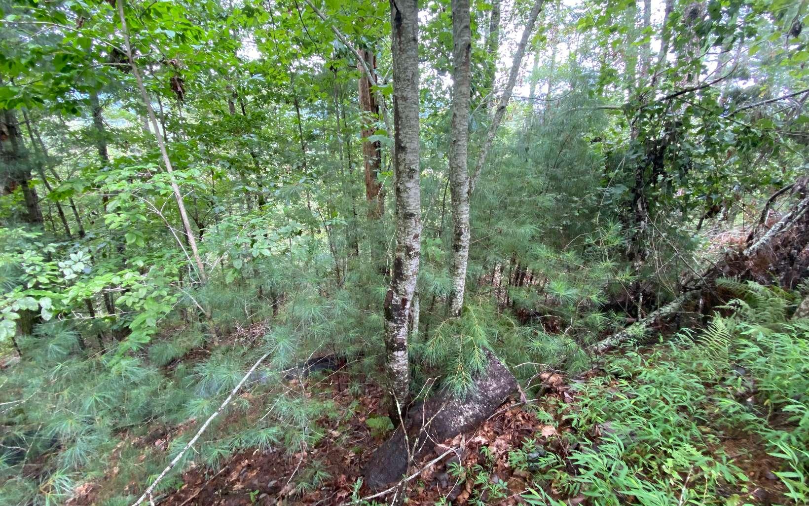 Image 4: Additional View