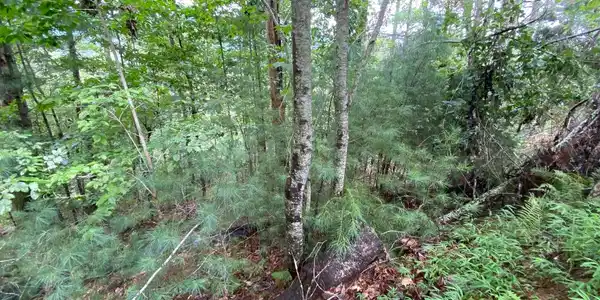 Image 4: Additional View