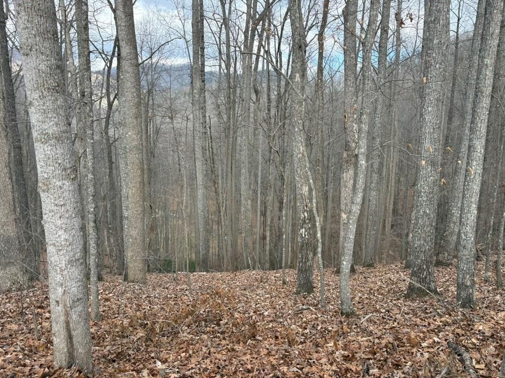 Image 1: Main View