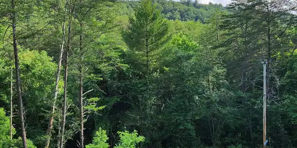 Image 3: Additional View