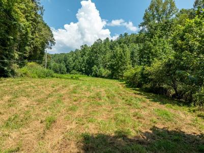 TR 3B Wolf Pen Gap Road