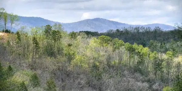 Image 2: Year Round Mtn View