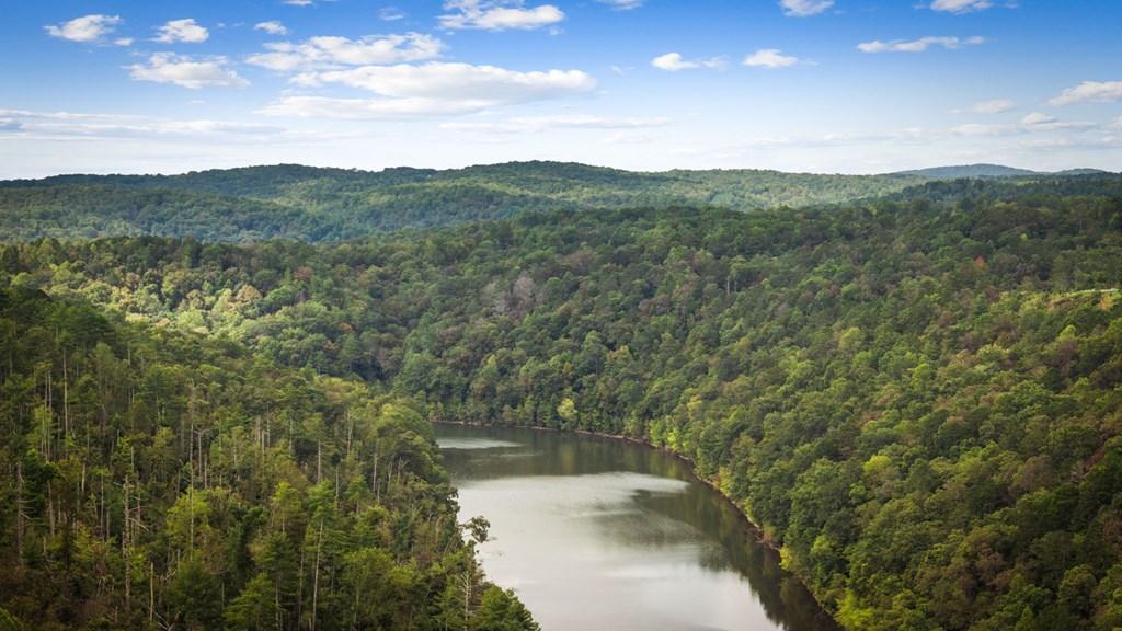 Image 3: Headwaters of Carters Lake