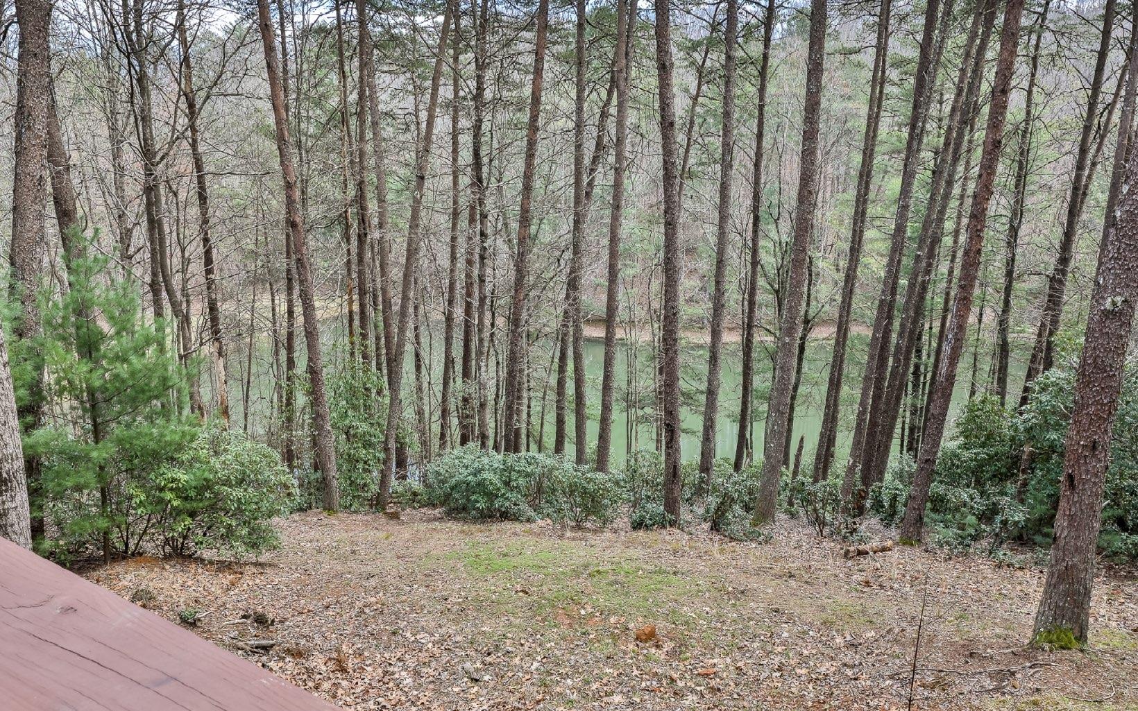 Image 2: Additional View