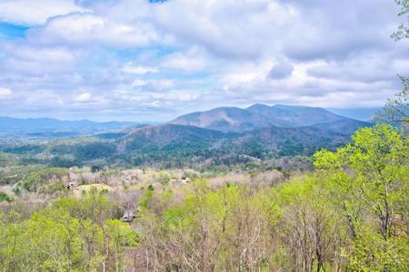 Lt 12&13 Greystone Trace