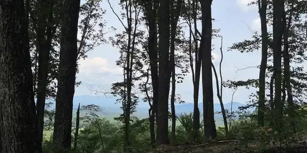 1.5Acres High Summit Drive