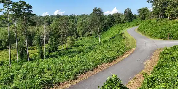 Lot 30 Arbor Creek Trail