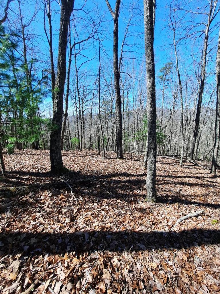 Image 3: Photo of lot