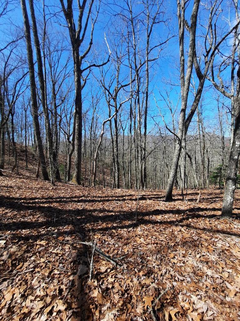 Image 4: Photo of lot