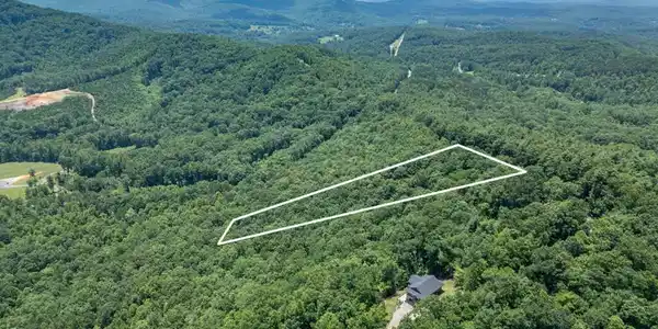 Image 2: Cleared Lot