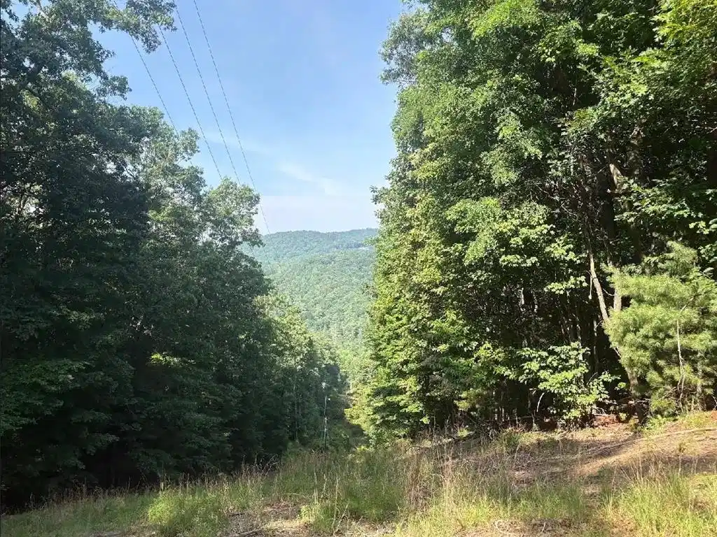 Image 1: Main View