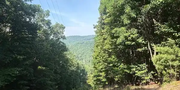 Burnt Mountain