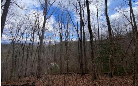 6 Morgan Creek