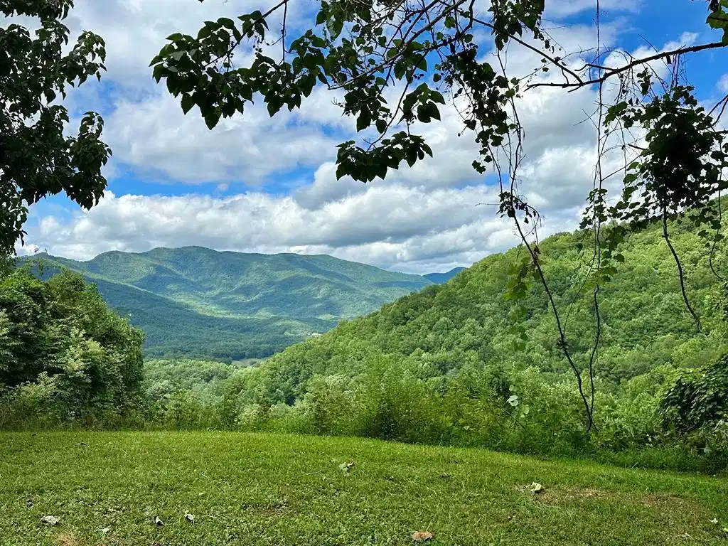 Image 1: Main View