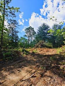 Lot 4 Megan Trace Drive