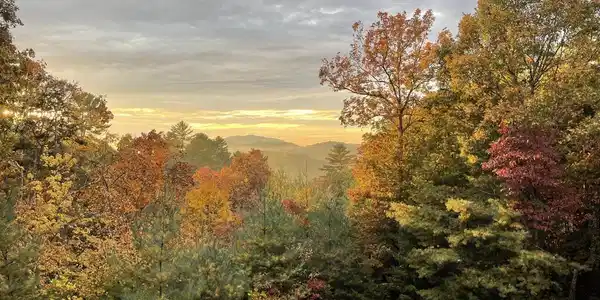 Image 4: Fall foliage view from back deck, seller photo