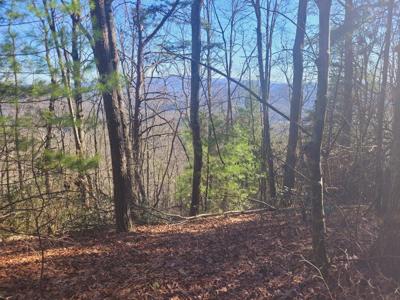 Blalock Road