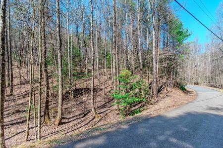 Lot 694 S Satsuma Court
