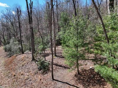Lot 9 Native Trail