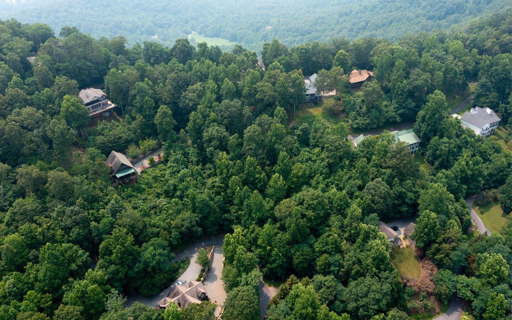 Image 3: Additional View