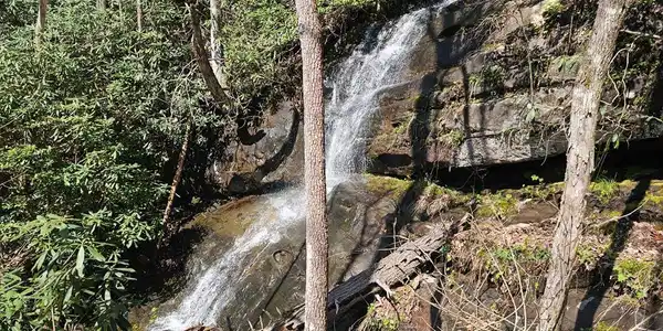 Davis Creek Road