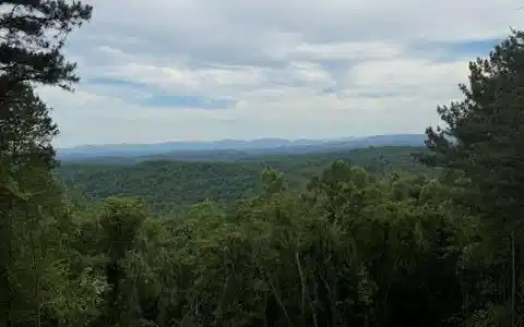 Lookout Drive