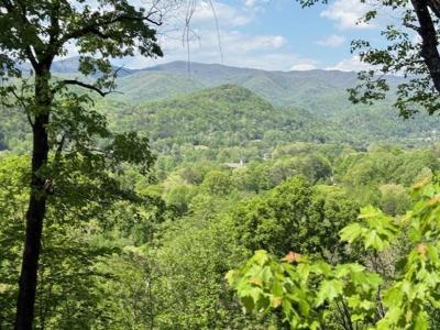 Lot 43 Silo View