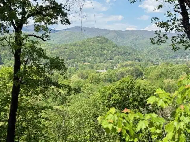 Image 1: Main View