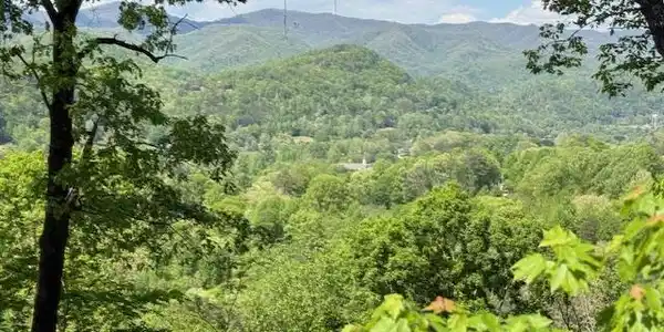 Lot 43 Silo View