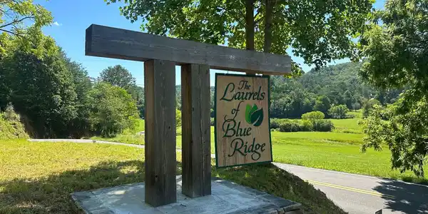 LT12 Mountain Laurel Ridge