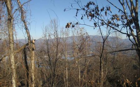 LT 68 Eagles View