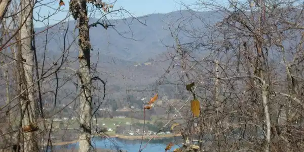 Image 3: Additional View