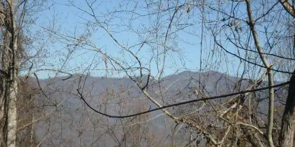 Image 4: Additional View