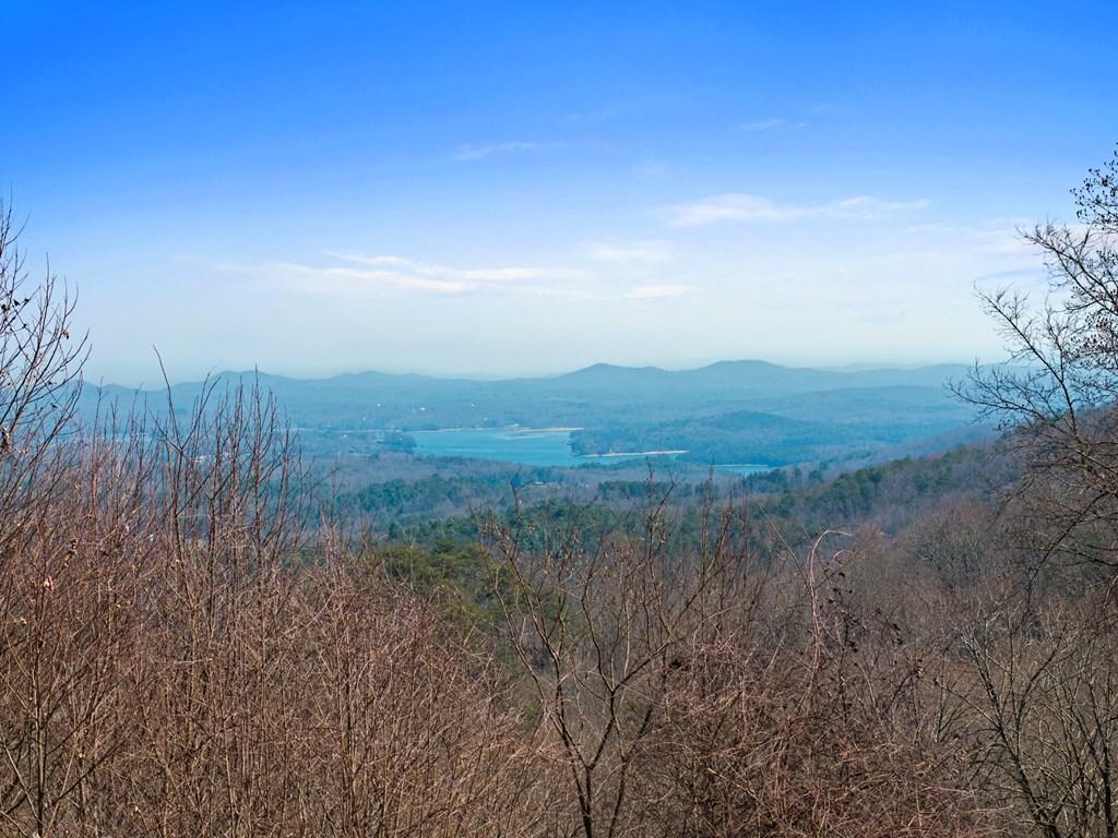 Image 3: Lake Blue Ridge