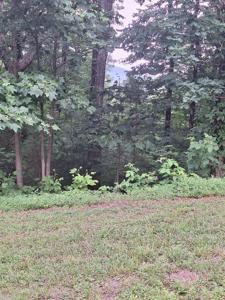 274 Andes Ridge