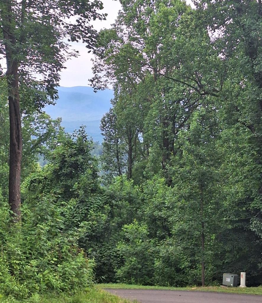 Image 2: View across from lot!