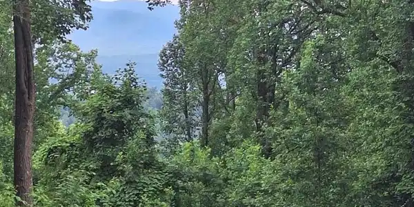 Image 2: View across from lot!