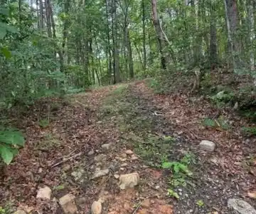 10.96 Ac Paramount Trail