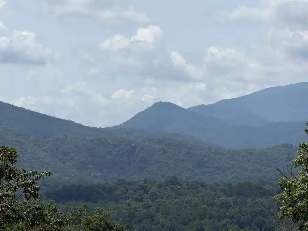 Image 1: Main View