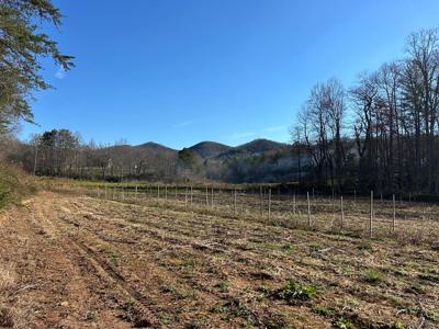 14.92 ac Bald Mountain Creek