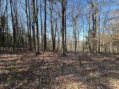 Lot 1640 Hunter Drive