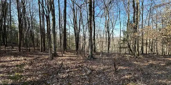 Lot 1640 Hunter Drive