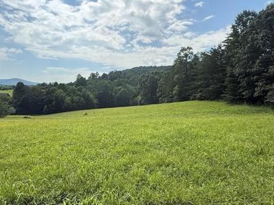 Lot 52 The Preserve At Cc