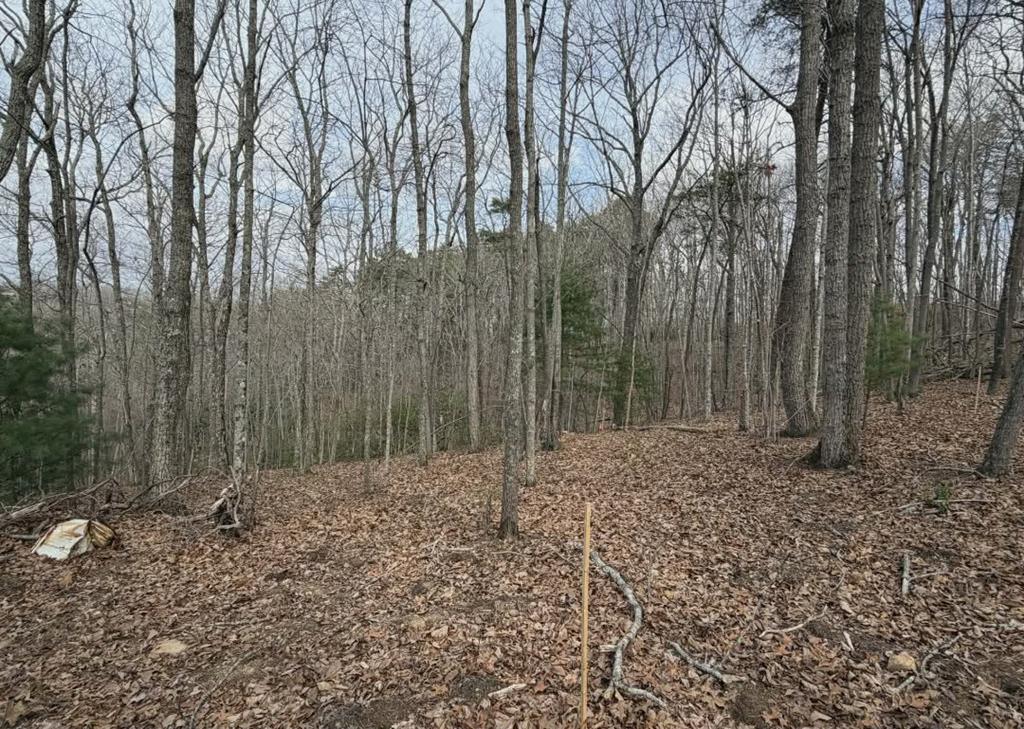 Image 1: Main View