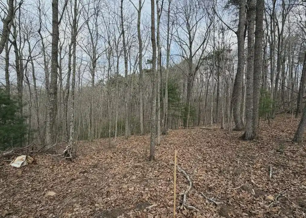 Image 1: Main View