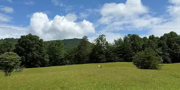 Lot 51 The Preserve At Cc